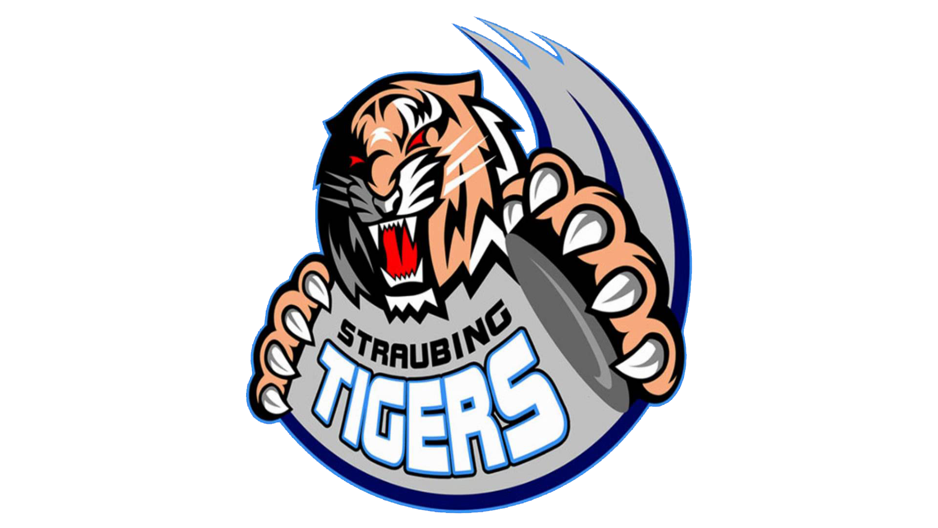 straubing-tigers-1