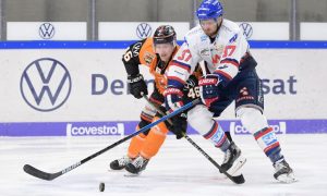 Grizzlys Wolfsburg / City-Press GmbH