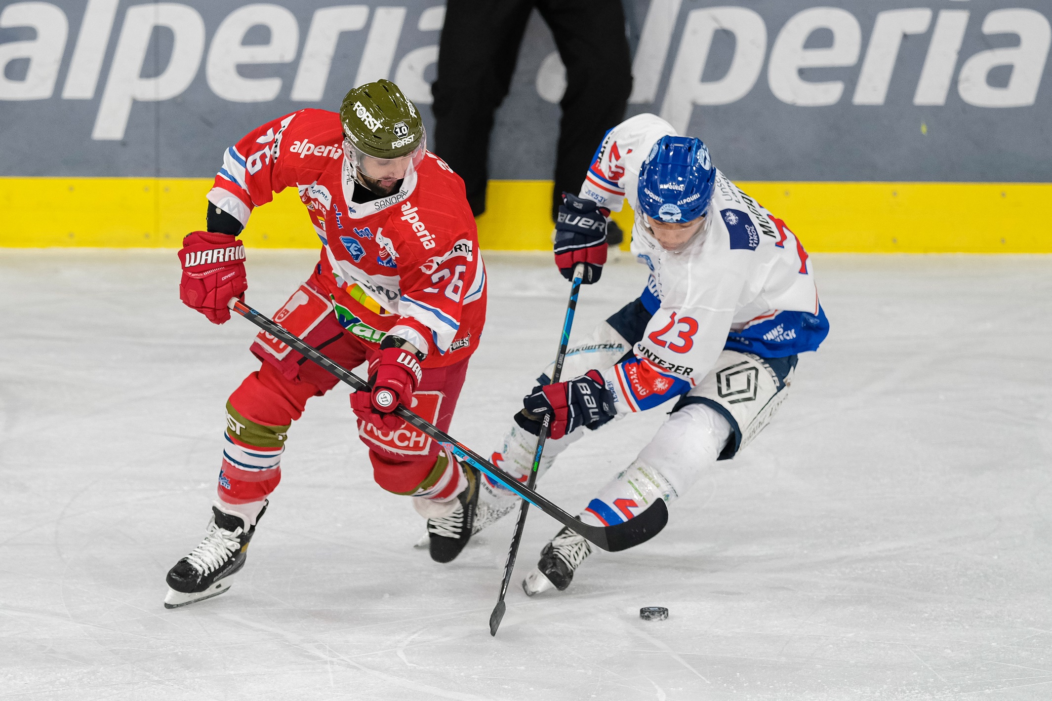 ICEHL Bozen und Innsbruck auf der Jagd nach Startrekorden! – Hockey-News.info