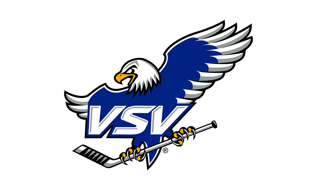 VSV Logo 2022