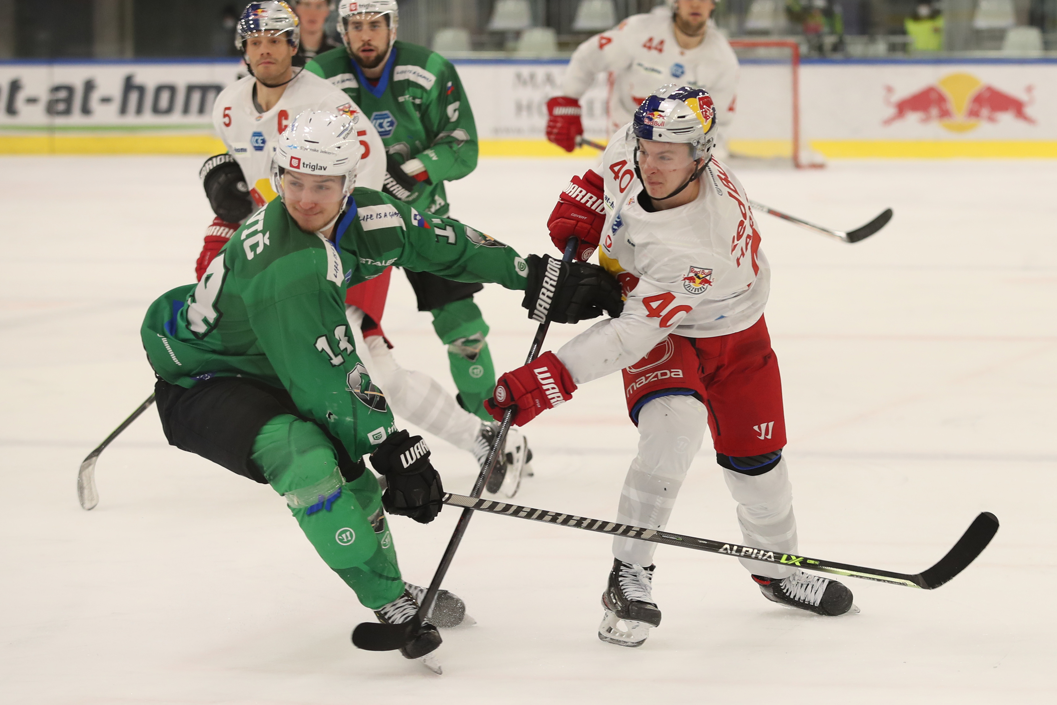 ICE HOCKEY – ICEHL, EC RBS vs Ljubljana